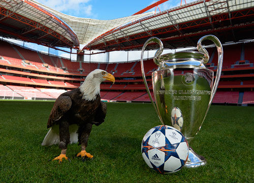 安东尼·戴维斯因手部手术缺阵数月，独行侠赛季前景堪忧